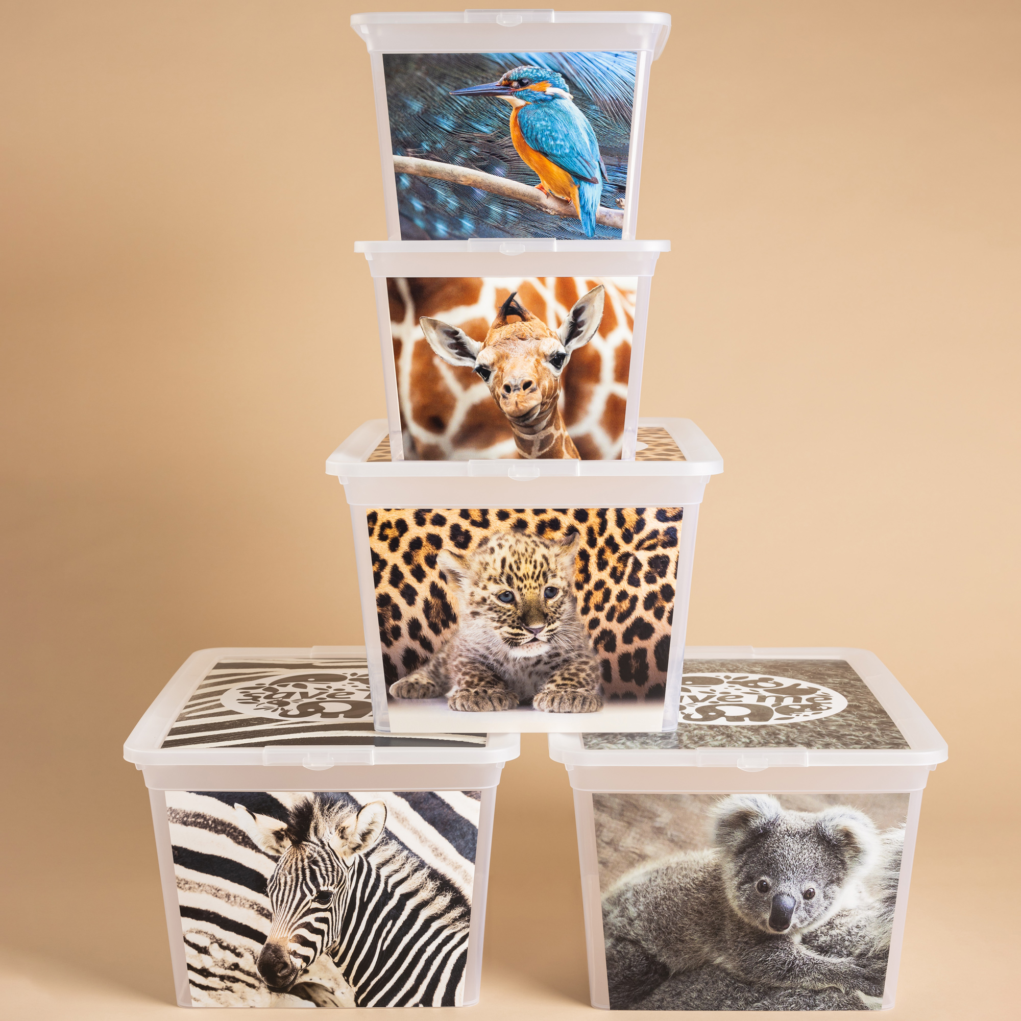 Box s víkem X Box Deco Panter 30 l BRANQ