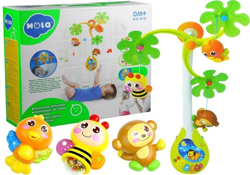 LEANToys Kolotoč Hudební box Hračky chrastítka pro dítě