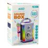 Hudební sada Sound Box Mikrofon Bluetooth