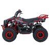 Pojazd Quad Spalinowy 49CC SIRIUS Czerwony