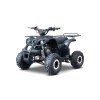 Dětská čtyřkolka WILDPEAK 110 cc černá