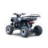 Dětská čtyřkolka WILDPEAK 110 cc černá