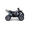 Dětská čtyřkolka WILDPEAK 110 cc černá