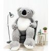 Koala 220