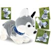 Interaktivní pejsek Husky reagující na dotek 2