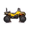 Dětská elektrická čtyřkolka Can-Am Outlander ATV žlutá 9