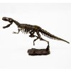 k17360 aga4kids sada pro male paleontology t rex 3
