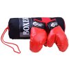 Boxerský set rukavice + pytel
