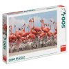DINO PLAMEŇÁCI 500 Puzzle