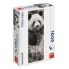 DINO PANDA V TRÁVĚ 1000 panoramic Puzzle