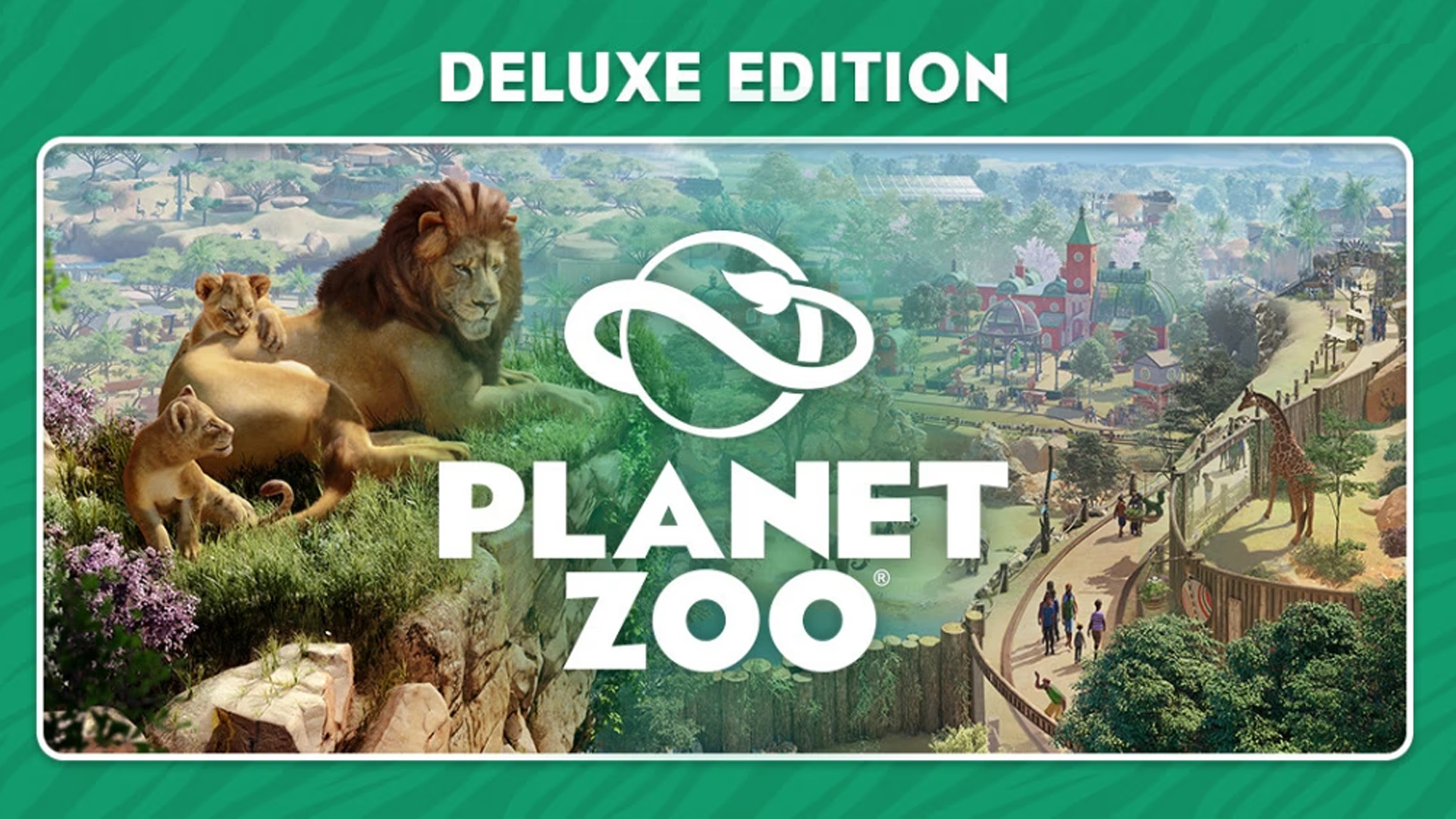 zoo