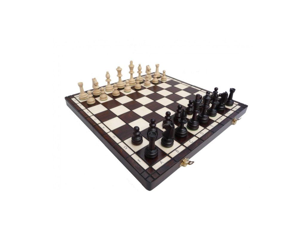 Шахматы олимпийский спорт