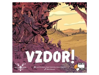 Vzdor! - karetní hra pro 1 hráče