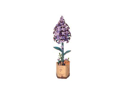 Lilac - dřevěná stavebnice 3D modelu šeříku