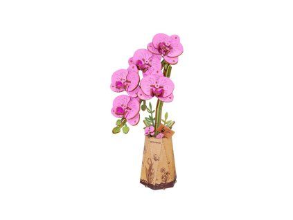 Purple Moth Orchid - dřevěná stavebnice 3D modelu orchideje