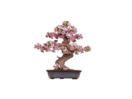 Sakura Bonsai - dřevěná stavebnice bonsaje