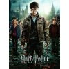 Puzzle Harry Potter spolu v boji 300 dílků