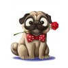 Pug2 pose 01 03 300dpi
