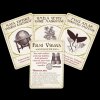 Ptačí říše - kartení rodinná hra