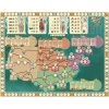 10527 Carnegie Herni plan