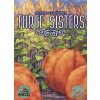 Three Sisters (EN) - desková hra
