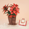 Poinsettia - Wooden 3D Flower Puzzle