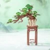 Borovice bonsai - dřevěná 3D stavebnice