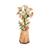 Chamomile - dřevěná stavebnice 3D modelu heřmánku