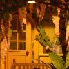Garden House - dřevěná stavebnice miniatury