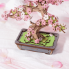 Sakura Bonsai - dřevěná stavebnice bonsaje