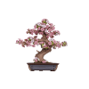 Sakura Bonsai - dřevěná stavebnice bonsaje
