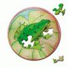 Puzzle Picoli Curiosi