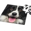 Puzzle Q Animal Pes (Curiosi)