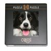 Puzzle Q Animal Pes (Curiosi)