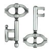 Hanayama Cast Puzzle Key 2