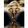 Puzzle Elephant 1000 d.