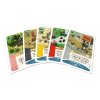 Settlers: Zrod impéria - Proč se nepřátelit
