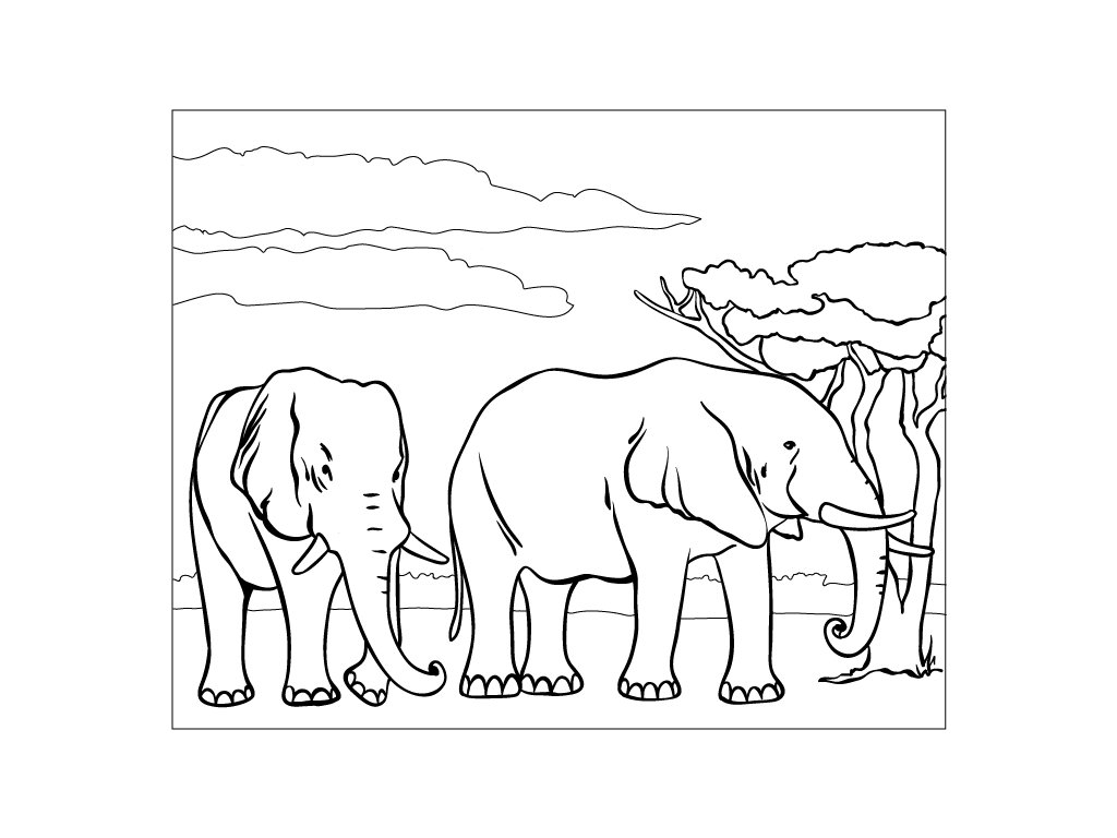 sloni malovani piskem
