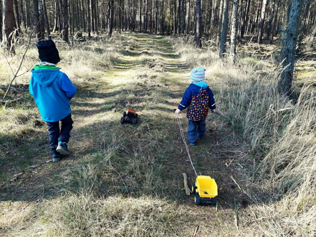 Co dělat v lese s dětmi? 17 tipů na aktivity, které je opravdu baví
