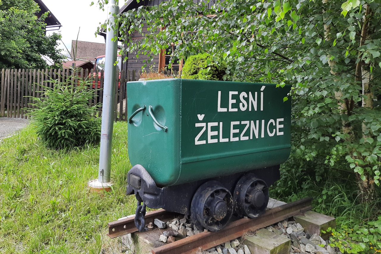 rajnochovicka-lesni-zeleznice-vylet-s-detmi-2