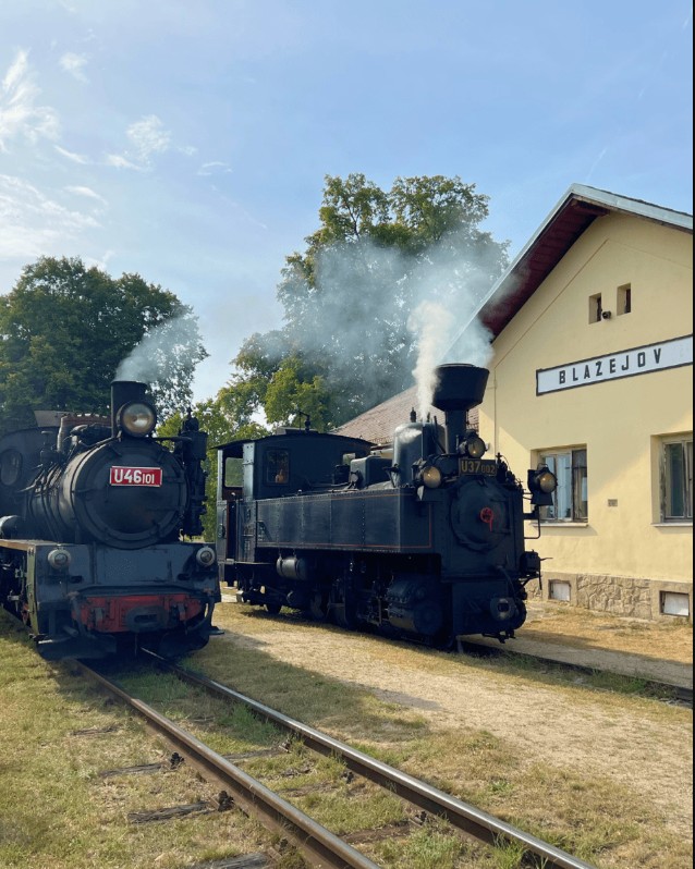 Parní lokomotivy Polka U46.101 a Krausska ve stanici Blažejov