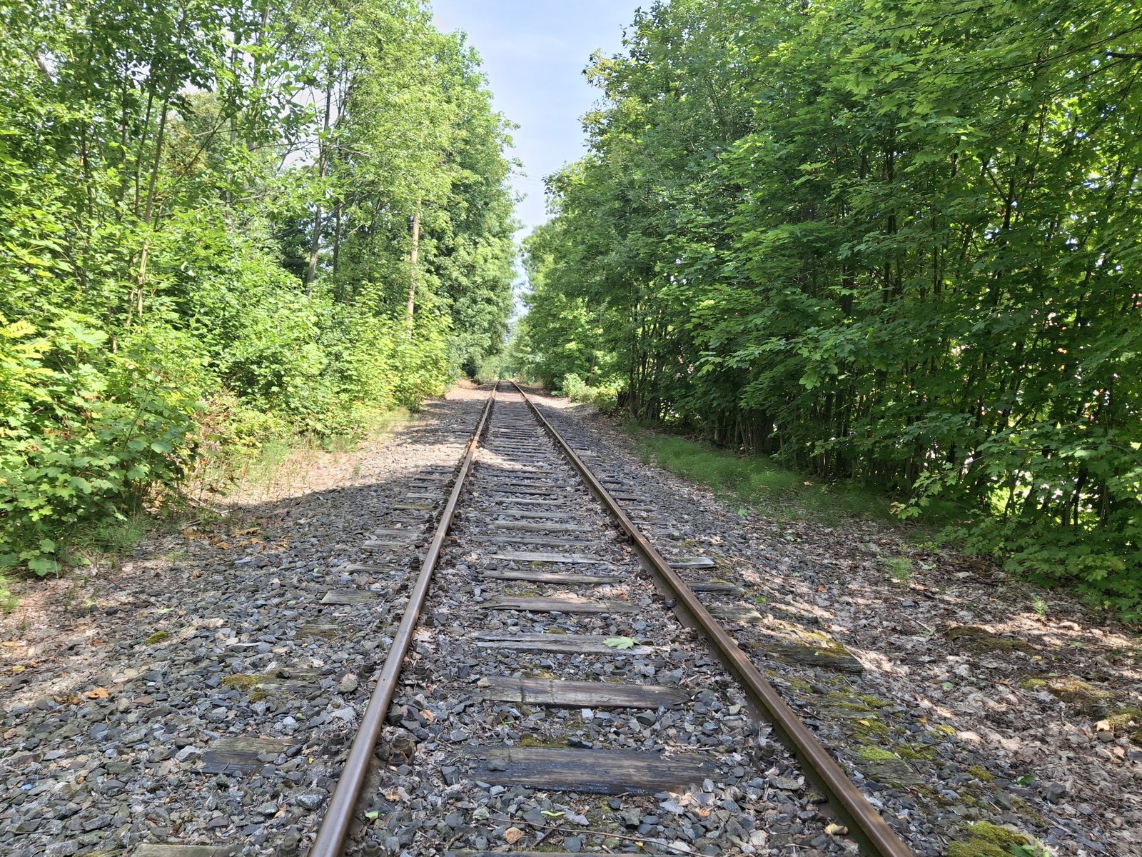 Trať Královec – Žacléř v lese