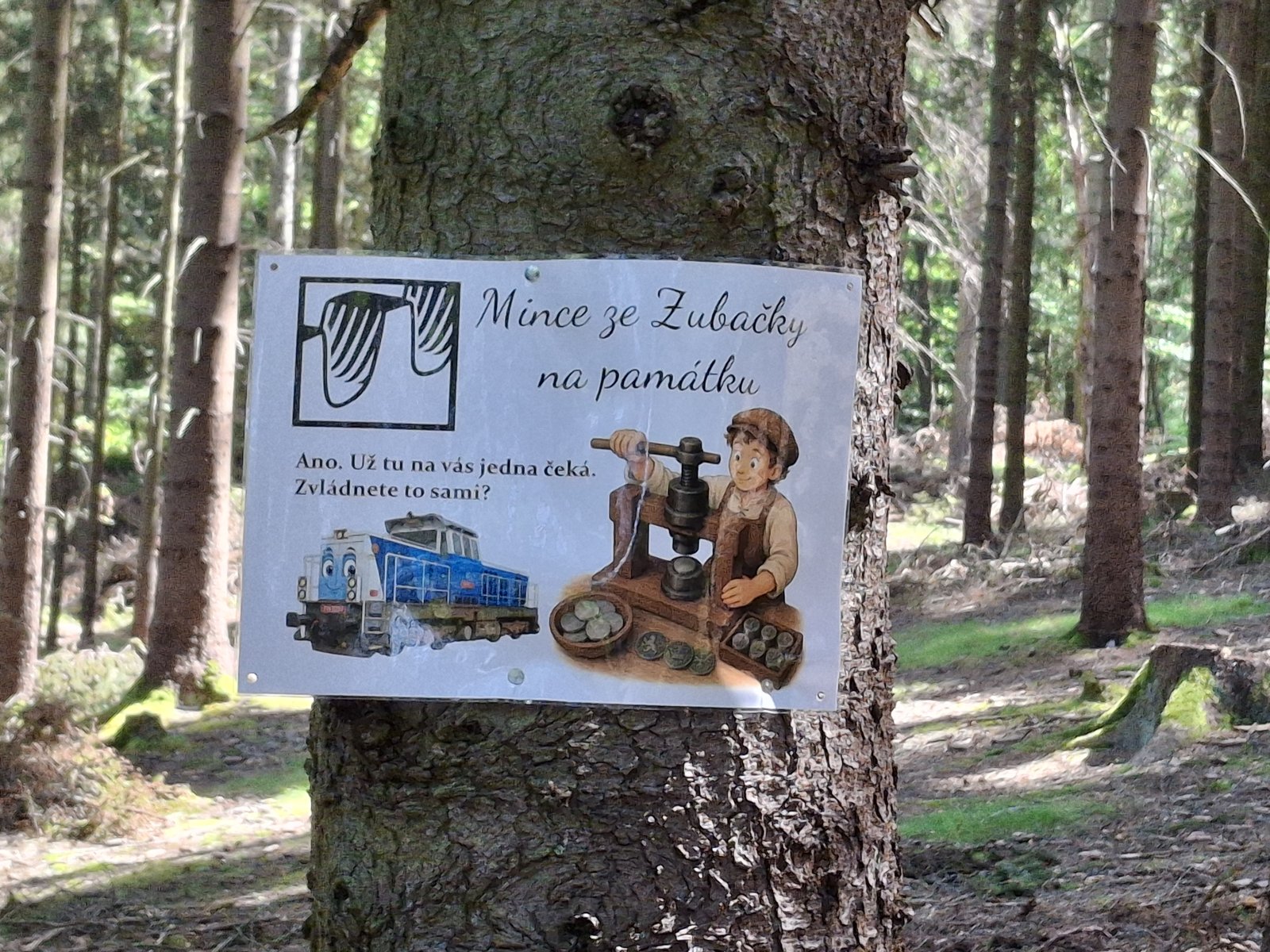 Stanoviště dětské stezky Mince ze Zubačky na památku v lese u Kořenova