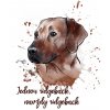 ridgeback maly