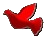 holub2