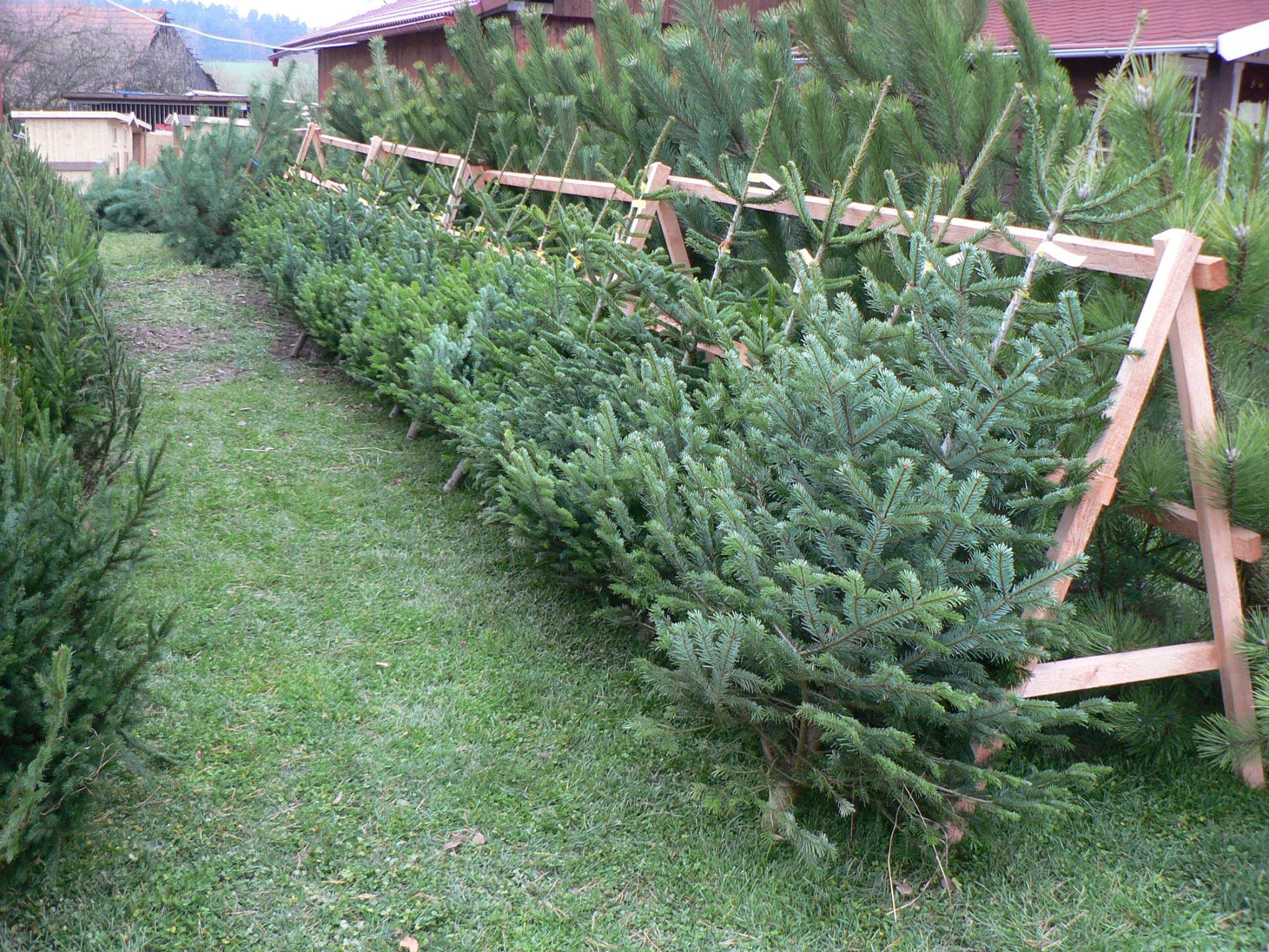 15235568_2149835885242299_456760874963983326_o