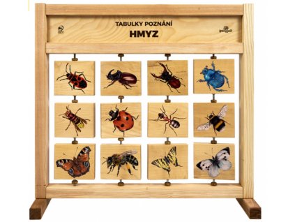 edukační panel stolní hmyz