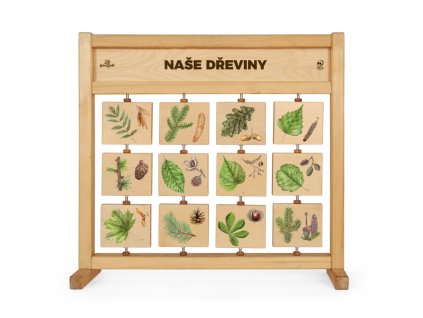 tabulky poznani stolni nase dreviny