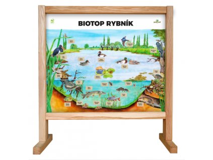 edukační panel stolní biotop rybník