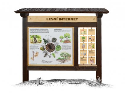 lesni internet m 2846